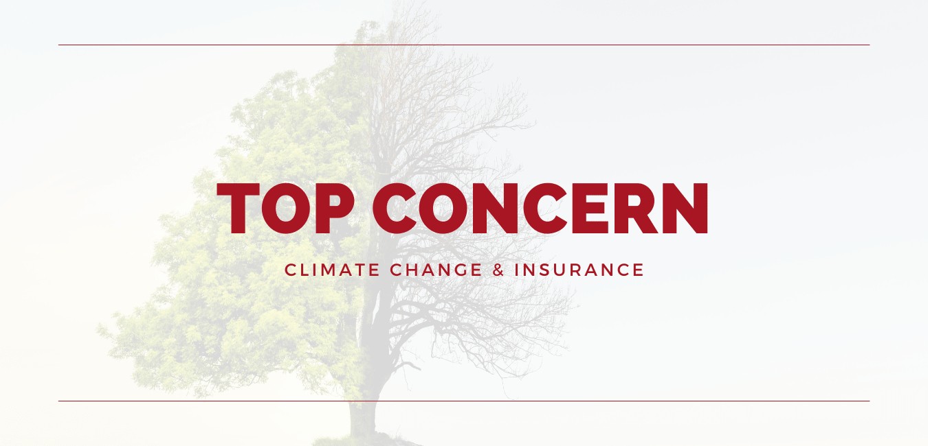 Compensation - Climate Change Ranks as Top Concern for Insurers, Replacing Pandemic*