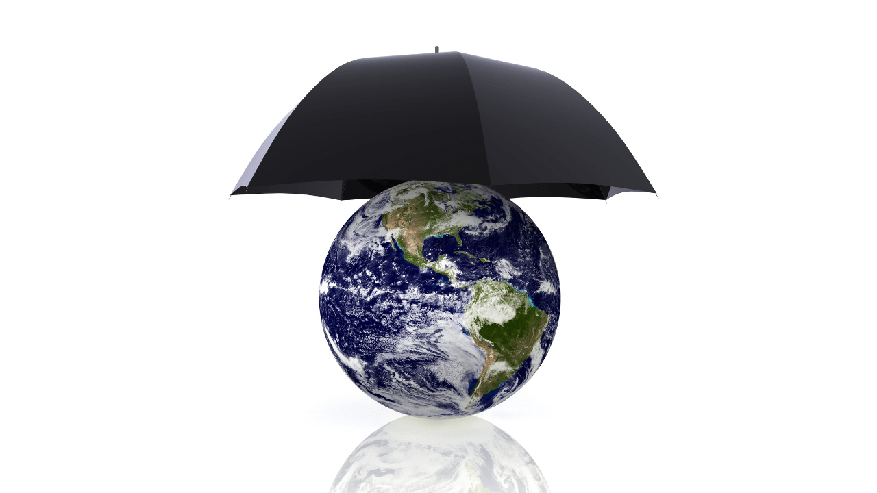 global insurance programs