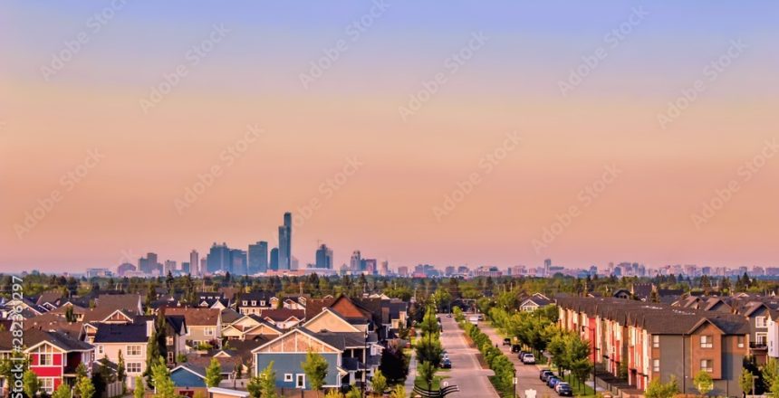 Tips for a Greener Home grass